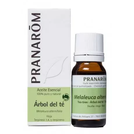 Aceite Esencial Árbol de Té Pranarôm BIO 10ML  | Tufarma.online